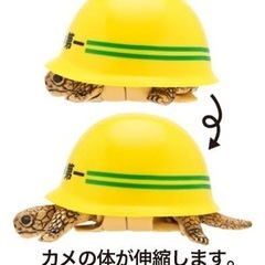 ヘルメット　カメさんの画像