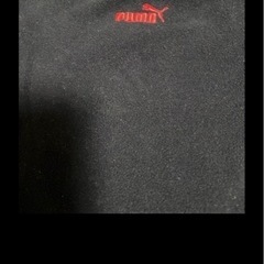 PUMA、Championトップス2枚セットの画像
