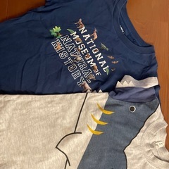 Tシャツ　110センチ　9枚の画像