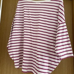 レディースTシャツの画像
