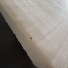 脚付きマットレスボンネルコイルの画像