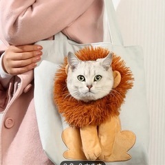 ライオンヘアー ショルダーバックの画像
