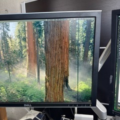 無料 ディスプレイ、デスク、アーム セットの画像