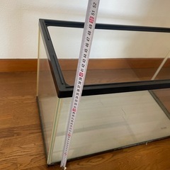 ちょっと大きめの水槽ですの画像