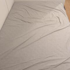【無料】【無印良品】セミダブルベッドの画像