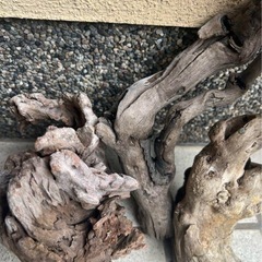 水槽用流木 自然なデザイン3本の画像
