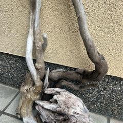 水槽用流木 自然なデザイン3本の画像