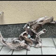 水槽用流木 自然な形状3本の画像