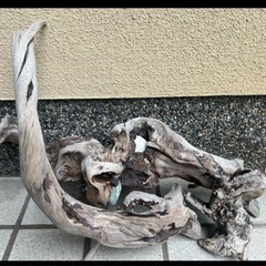 水槽用流木 自然な形状3本の画像