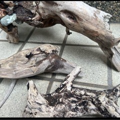 水槽用流木 自然な形状3本の画像