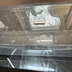 120cmアクリル水槽の画像