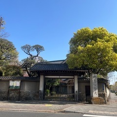明日、7/21（月）祝　9:00-寺院参拝・散策・カフェ巡り