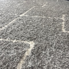 ニトリ 絨毯 カーペット 2m×3mの画像