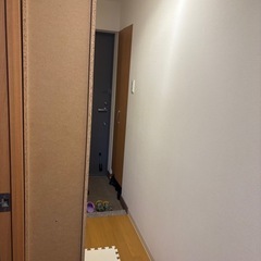 【7/23まで】可動式収納棚の画像