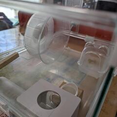 ハムスター飼育セット一式プレゼント