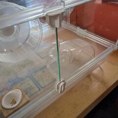 ハムスター飼育セット一式プレゼントの画像