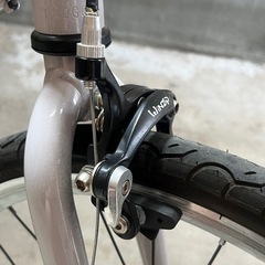 (商談中)RIPSTOP　RSM-01 trot　屋内保管　20インチ451 美品の画像