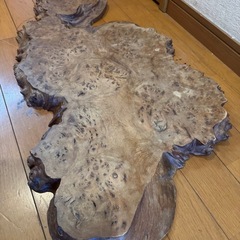 古木
の画像