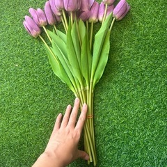 チューリップ15本、植物、造花
の画像