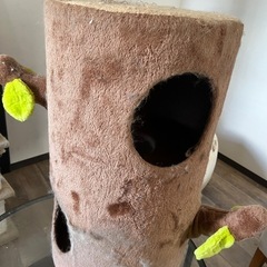 キャットホイール、キャットタワーの画像