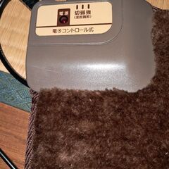 ミニホットカーペットの画像