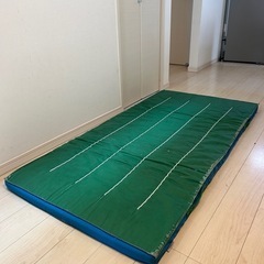 EVERNEW 体操マットの画像