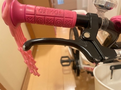 トレックTREK 16インチ Precaliber キッズ補助輪付 (たんたん