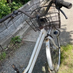 白 自転車の画像