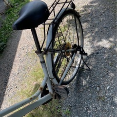 白 自転車の画像