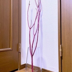 乾燥ミツマタ•ボルドーの画像