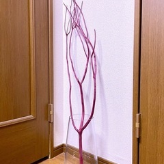 乾燥ミツマタ•ボルドー