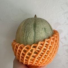 お酒　　缶チューハイ　ゼリー　野菜　果物　紅茶　食品の画像