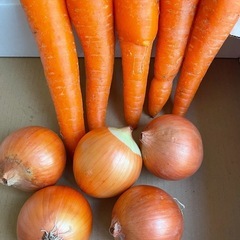お酒　　缶チューハイ　ゼリー　野菜　果物　紅茶　食品の画像