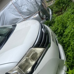 日産　セレナ　C-26の画像