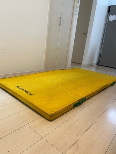 EVERNEW 体操マット