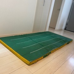 EVERNEW 体操マットの画像