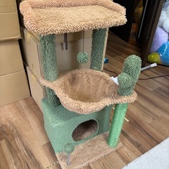 キャットタワーの画像