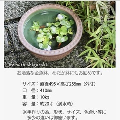 水鉢（大）  信楽焼の画像