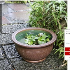 水鉢（大）  信楽焼の画像