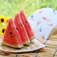 🍉40代🏖️50代🏖️60代🍉グループ大募集
