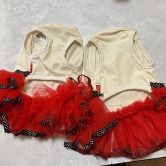 ペット服の画像