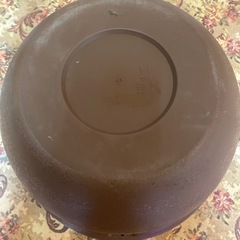 ビオトープ　メダカの画像