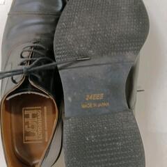 0720-079 REGAL 24cmの画像