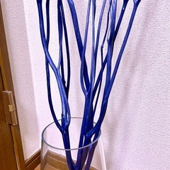 乾燥ミツマタ•ブルーの画像