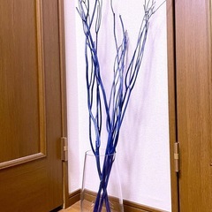 乾燥ミツマタ•ブルーの画像