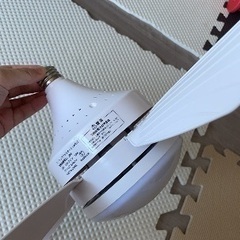 新品未使用 ファンライトの画像