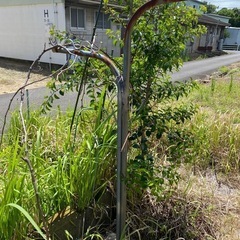 洗濯物干し台の画像