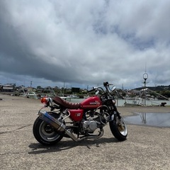 急な購入はお控えください。中華モンキー125ccの画像
