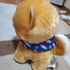 豆しば三兄弟（豆太郎）の画像