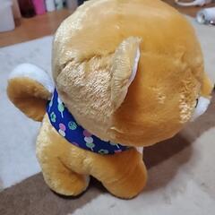 豆しば三兄弟（豆太郎）の画像